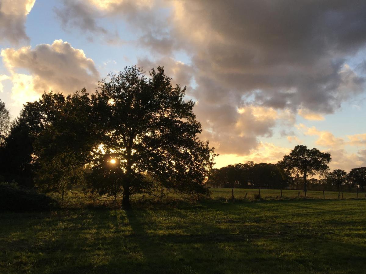 Vakantiewoning Pelterheggen * Grote Heide