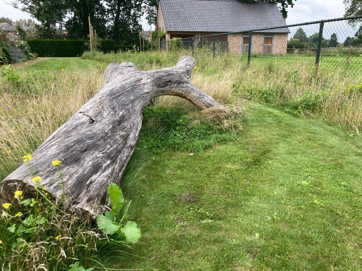 Vakantiewoning Pelterheggen * Grote Heide